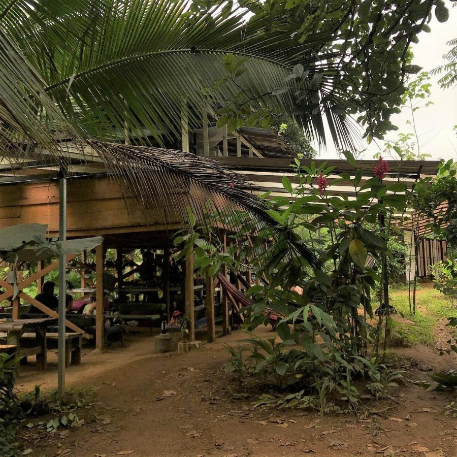 Bolita Trails And Lodging Dos Brazos Kültér fotó