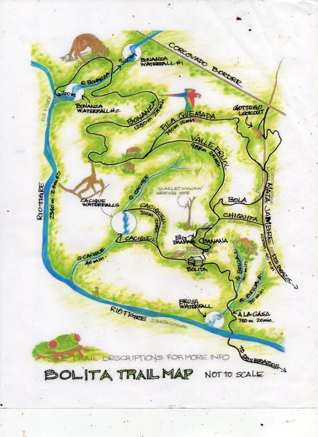 Bolita Trails And Lodging Dos Brazos Kültér fotó