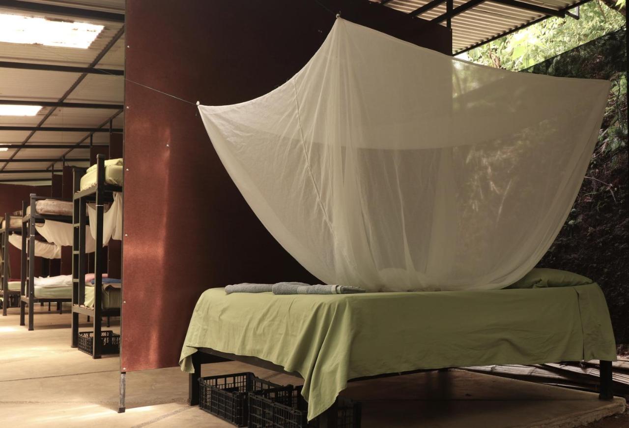 Bolita Trails And Lodging Dos Brazos Kültér fotó